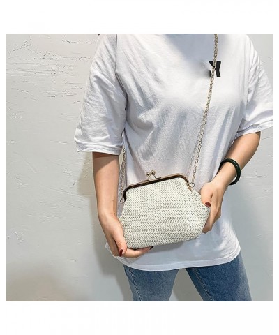 Fashion​ Hasp Ladies Weave Handbags Summer Beach Female Rattan Small Purse over The Shoulder Bags for Men C $11.81 Shoulder Bags