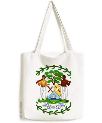 Belize National Emblem Country Tote Canvas Bag Shopping Satchel Casual Handbag $13.95 Totes